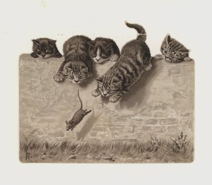 Kittens chasing a mouse by European School